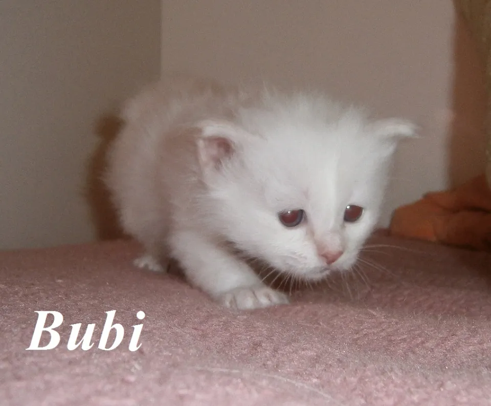 Bild 5 von 5