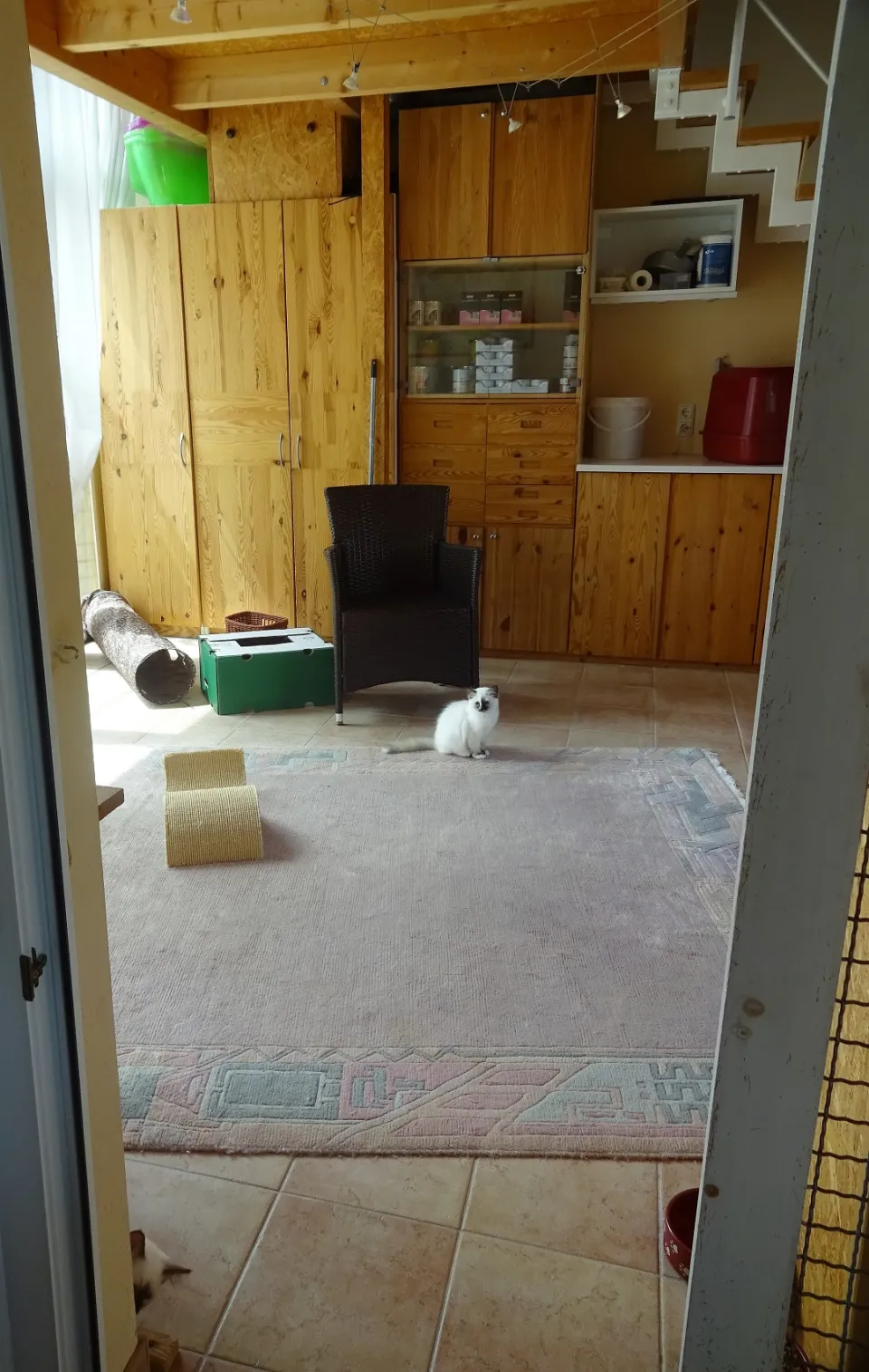Bild 1 von 7