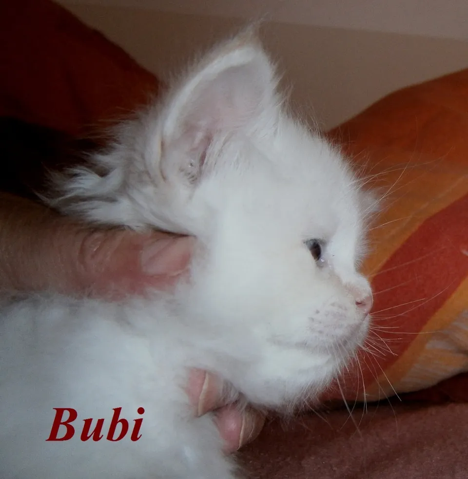 Bild 9 von 9