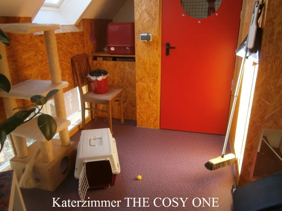 Bild 3 von 4