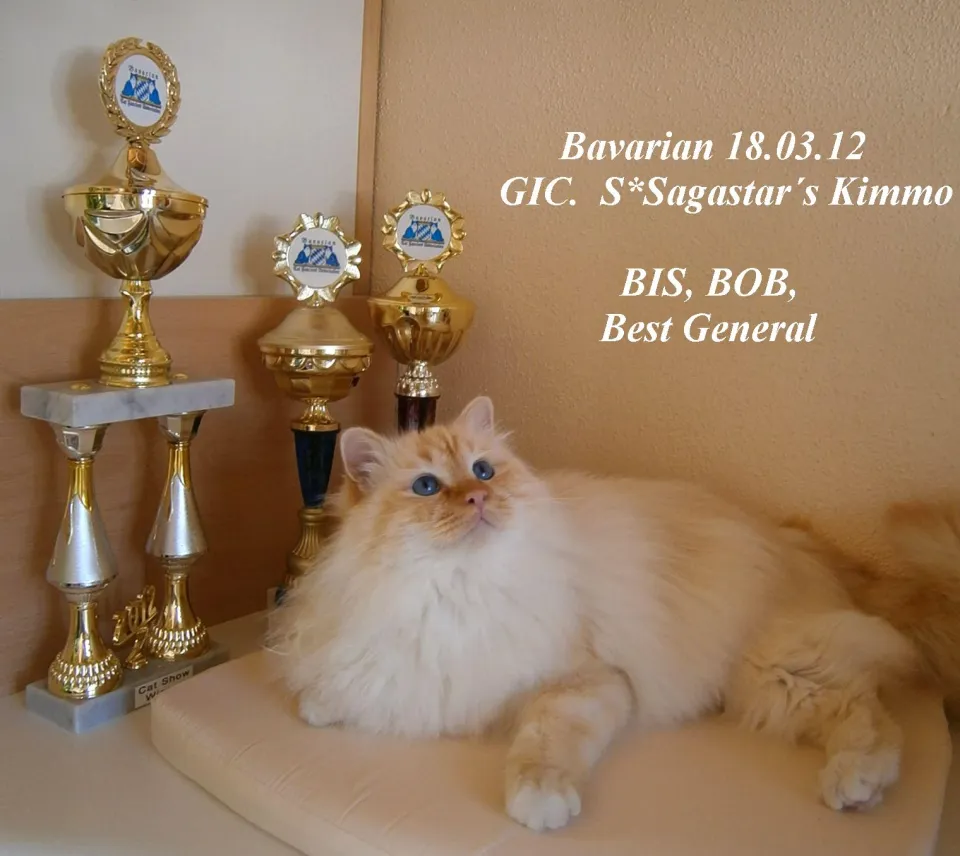 Kimmo BOA