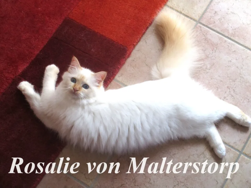 Bild 3 von 3