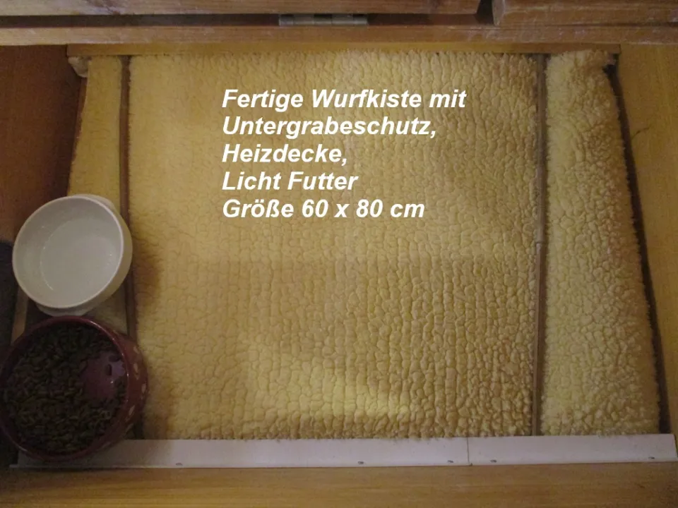 Bild 6 von 6